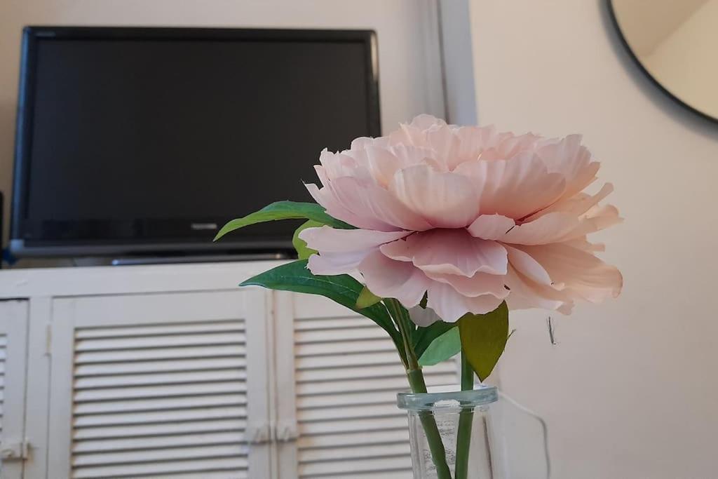 Spacious 4 Bedroom, Free Netflix, Central Location 카디프 외부 사진
